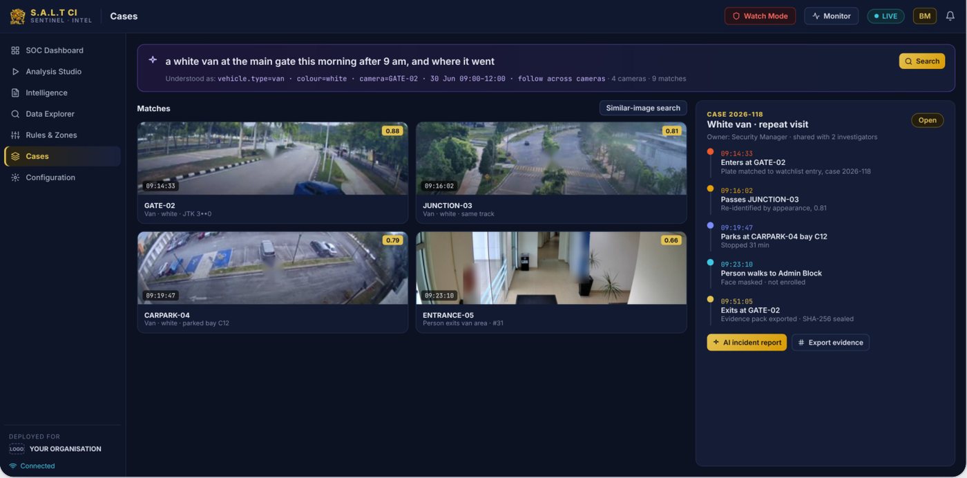 Cases: a plain-language search, cross-camera matches and an investigation timeline.